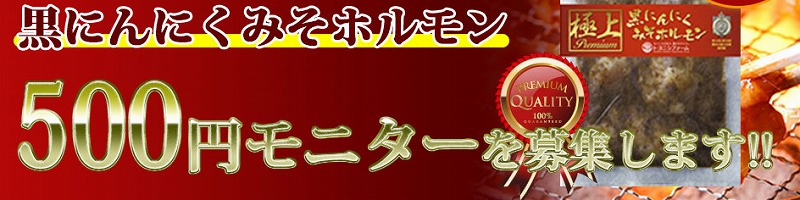 �ɏ�v���~�A�����ɂ�ɂ��݂��z������500�~���j�^�[���T�C�g